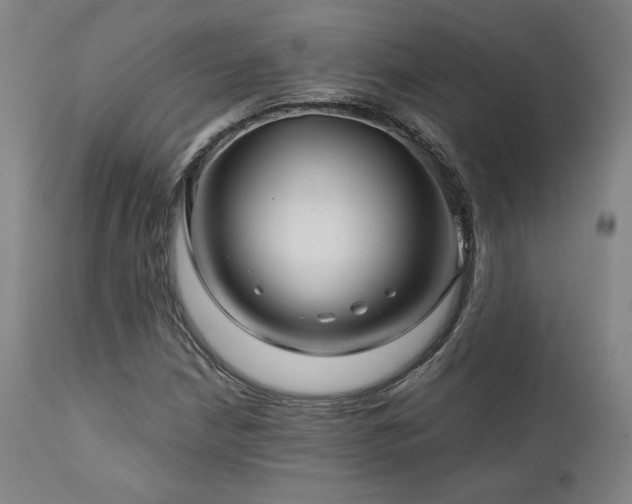 X0000111821210200907231310