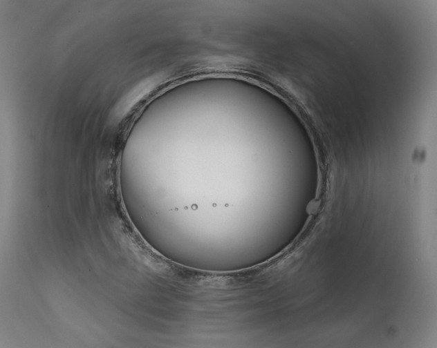 X0000111821211200907231310