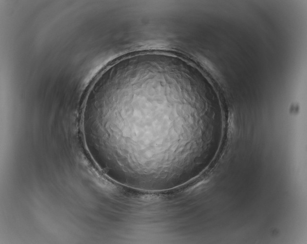 X0000111821212200907231310
