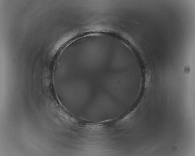 X0000111821213200907231310
