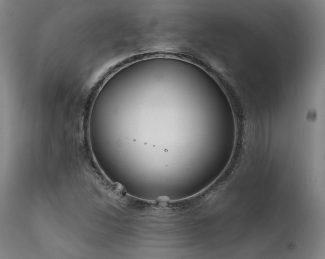 X0000111821214200907231310