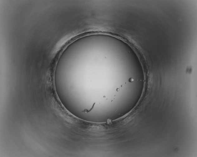 X0000111821215200907231310