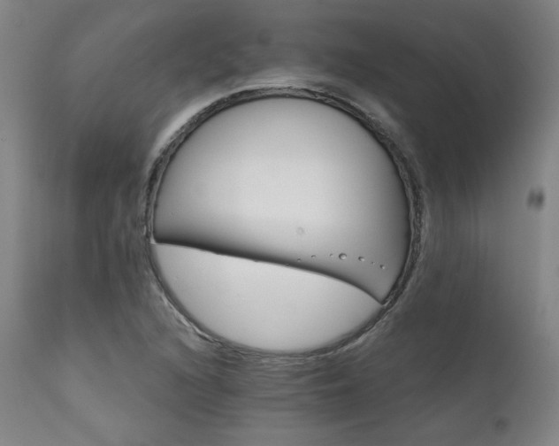 X0000111821216200907231310