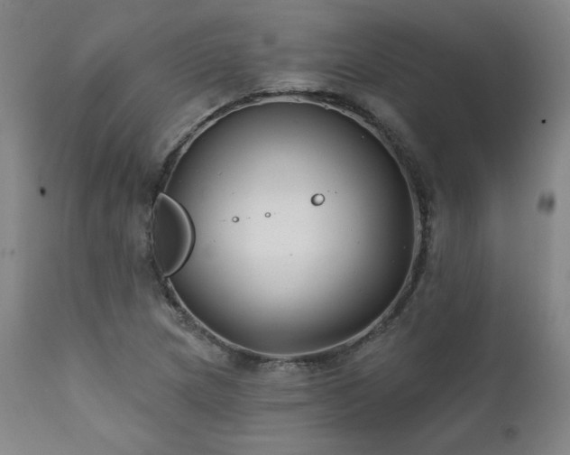 X0000111821217200907231310