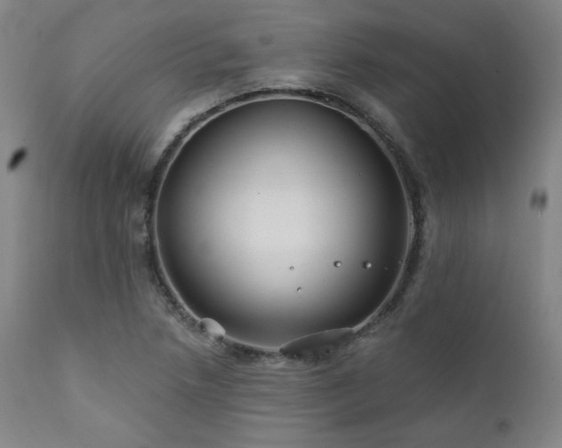 X0000111821218200907231310