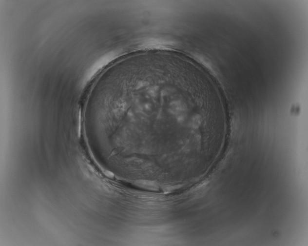 X0000111821219200907231310