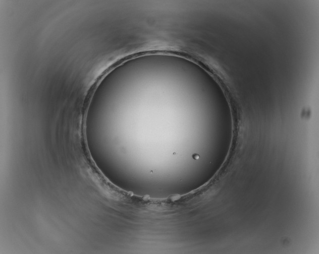 X0000111821220200907231310