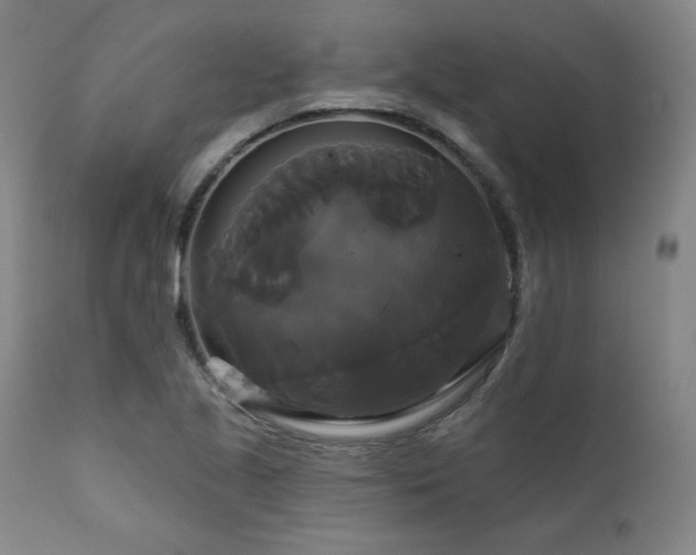 X0000111821221200907231310