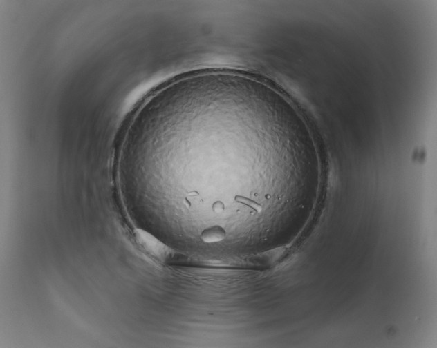 X0000111821222200907231310