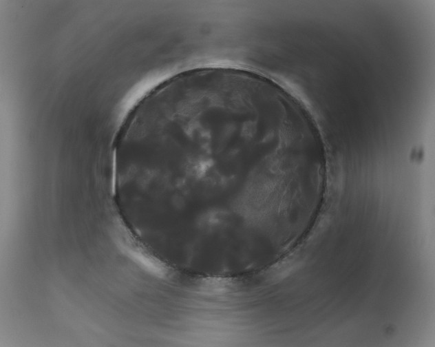 X0000111821223200907231310