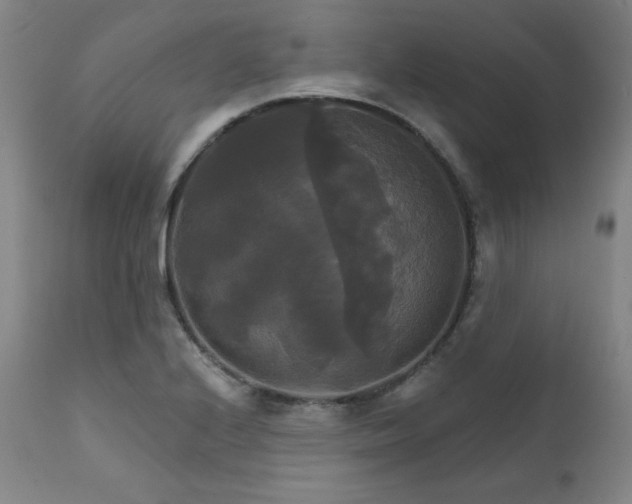 X0000111821224200907231310