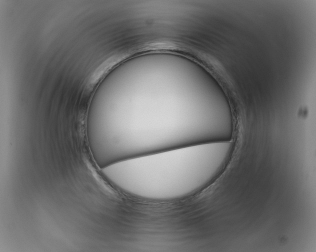 X0000111821225200907231310