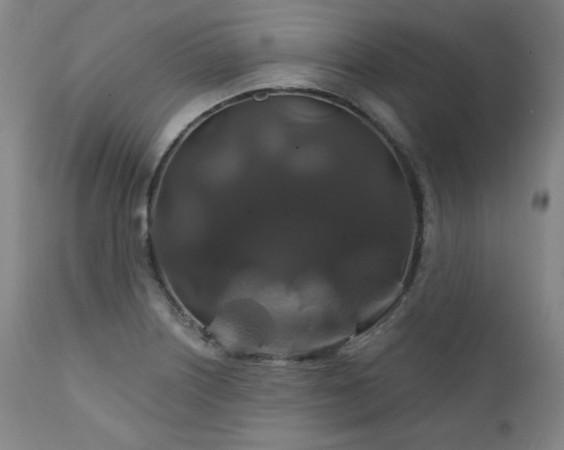 X0000111821226200907231310