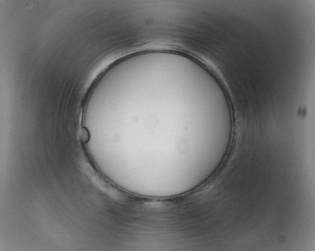 X0000111821227200907231310