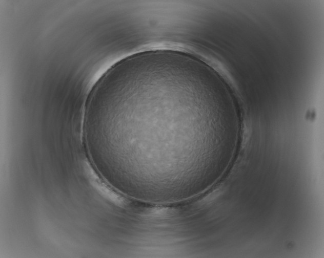 X0000111821228200907231310