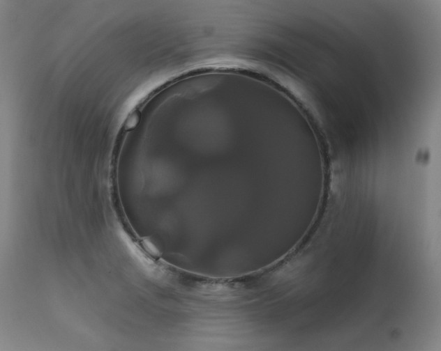 X0000111821229200907231310