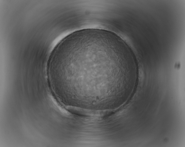 X0000111821230200907231310