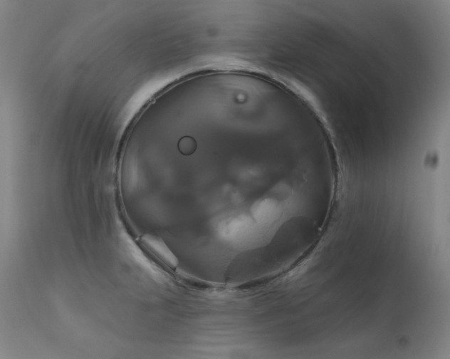 X0000111821231200907231310
