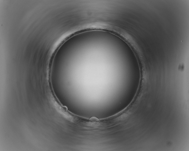 X0000111821232200907231310