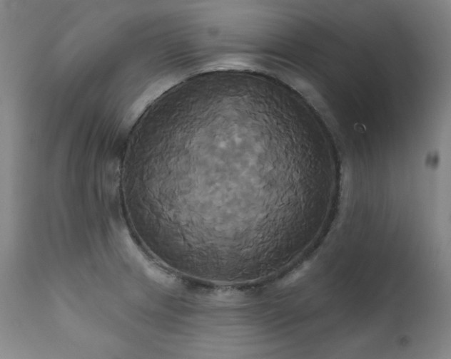 X0000111821233200907231310