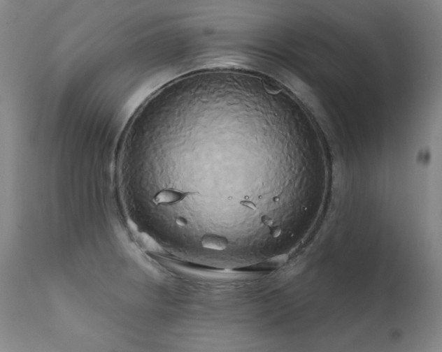 X0000111821234200907231310