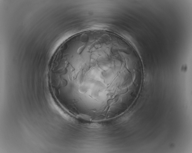 X0000111821235200907231310