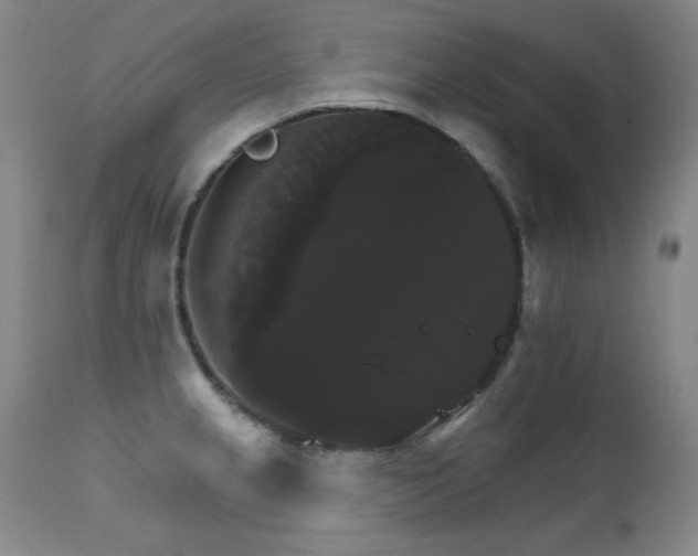 X0000111821237200907231310
