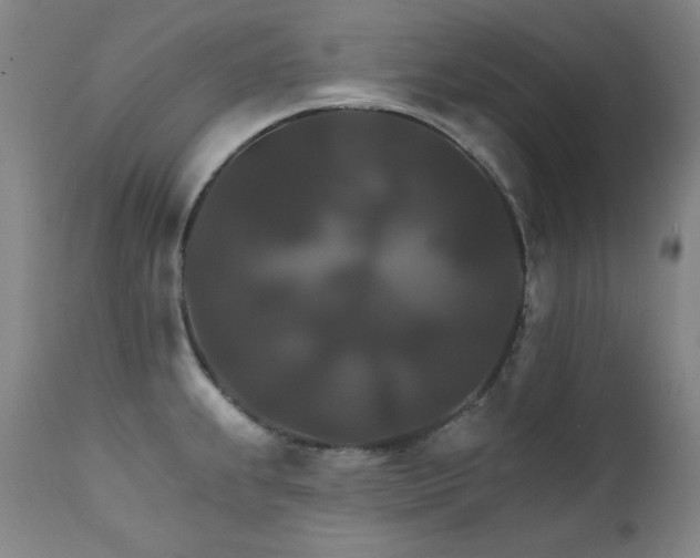 X0000111821239200907231310
