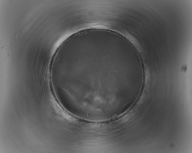 X0000111821240200907231310
