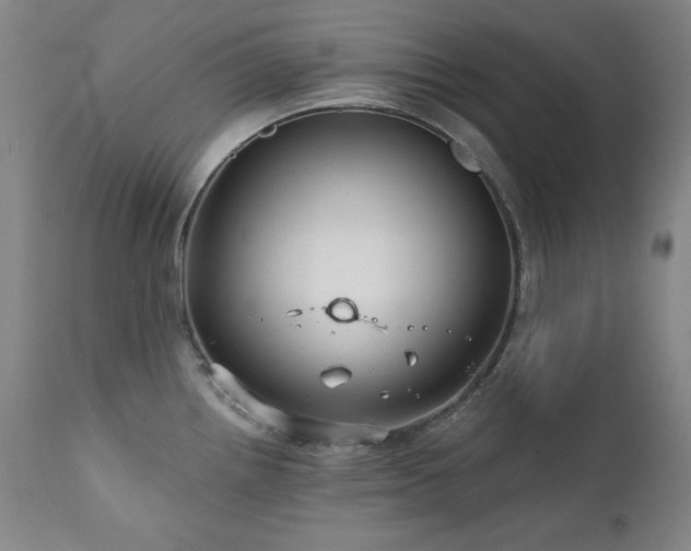 X0000111821242200907231310