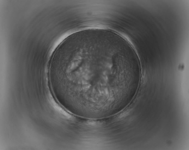 X0000111821243200907231310