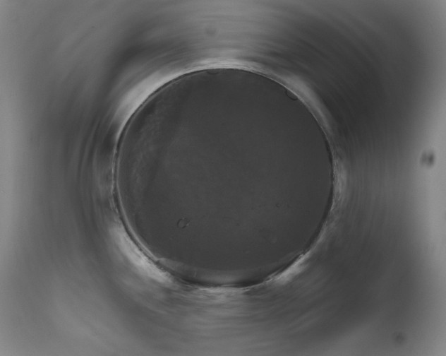 X0000111821244200907231310