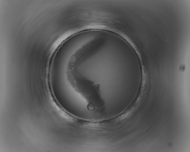 X0000111821245200907231310