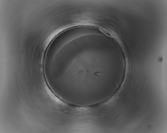 X0000111821246200907231310