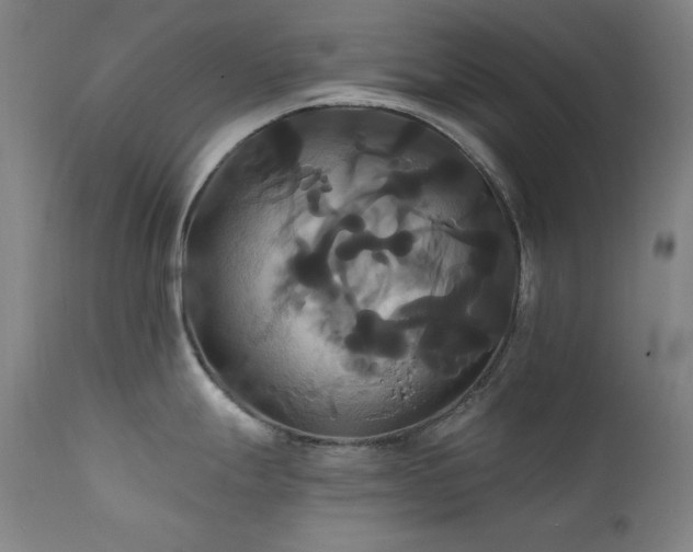 X0000111821247200907231310