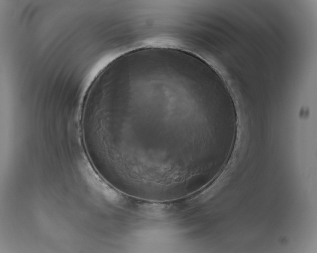 X0000111821248200907231310