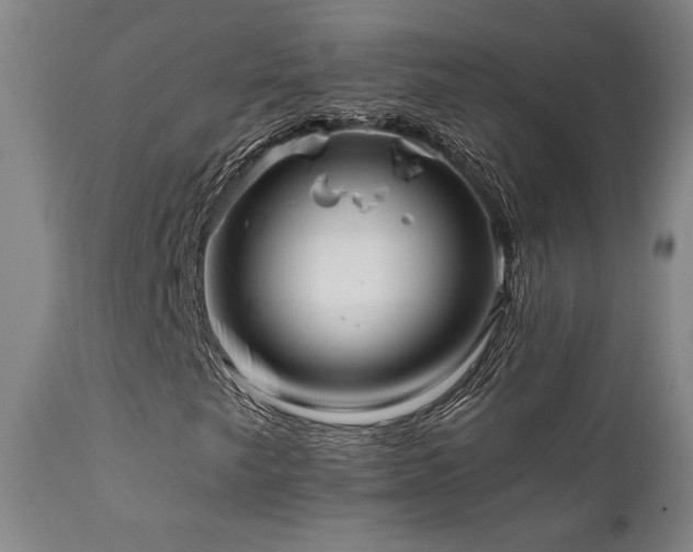 X0000111821249200907231309