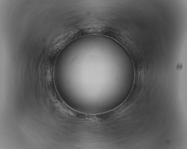 X0000111821250200907231309