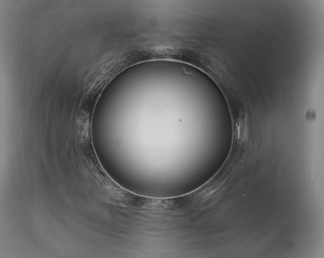X0000111821251200907231309