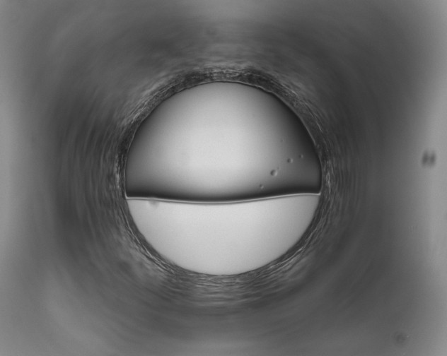 X0000111821252200907231309