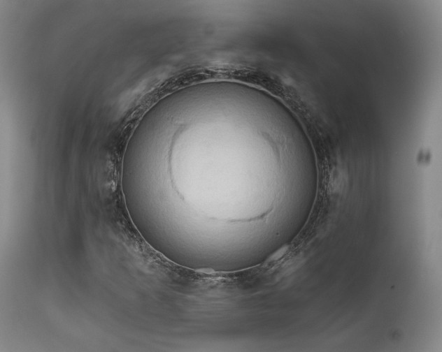 X0000111821253200907231309