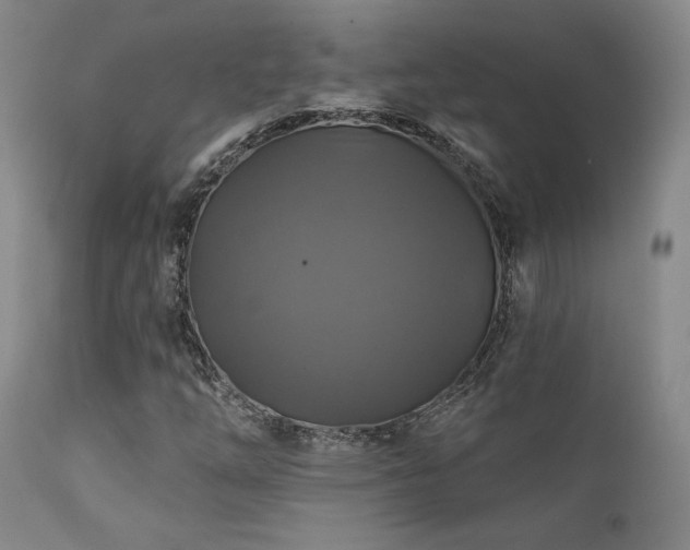 X0000111821254200907231309