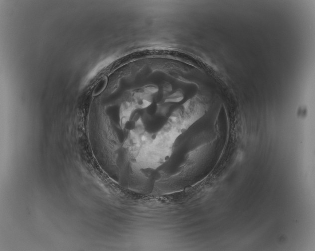 X0000111821255200907231309