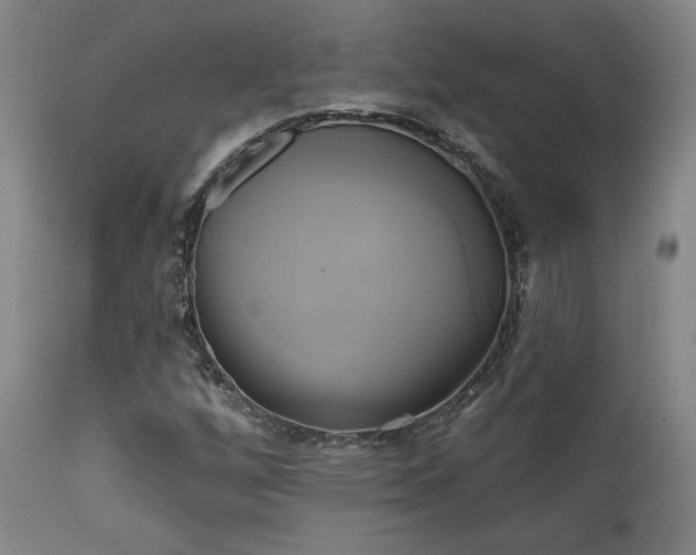 X0000111821256200907231309