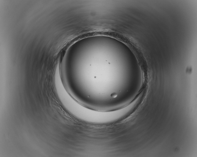 X0000111821257200907231309