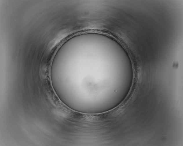 X0000111821258200907231309