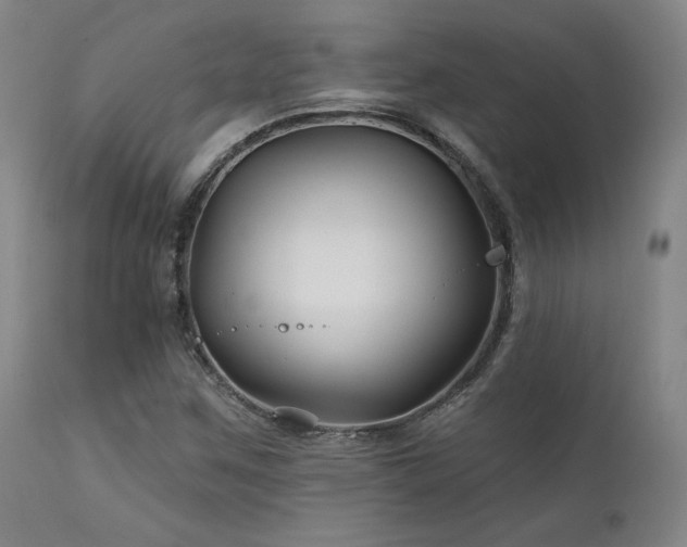 X0000111821259200907231309