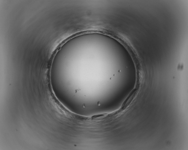 X0000111821260200907231309
