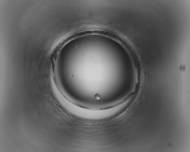 X0000111821261200907231309