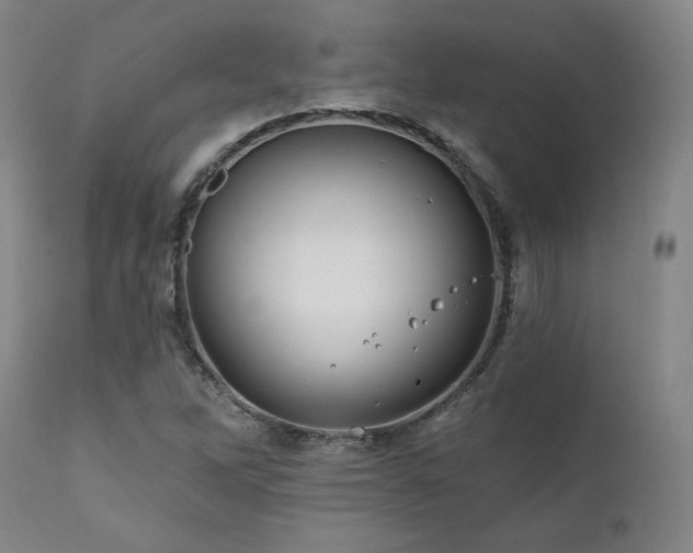 X0000111821262200907231309